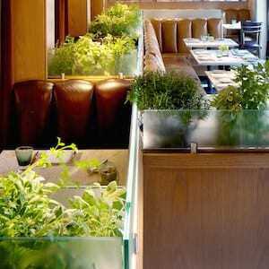 The Garden Room at Magdalena Restaurant in Baltimore, Maryland..